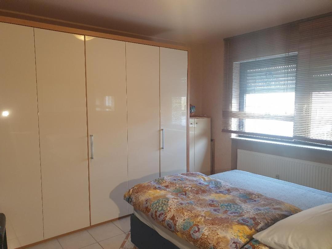Rose'S Ferienwohnung Freigericht Esterno foto